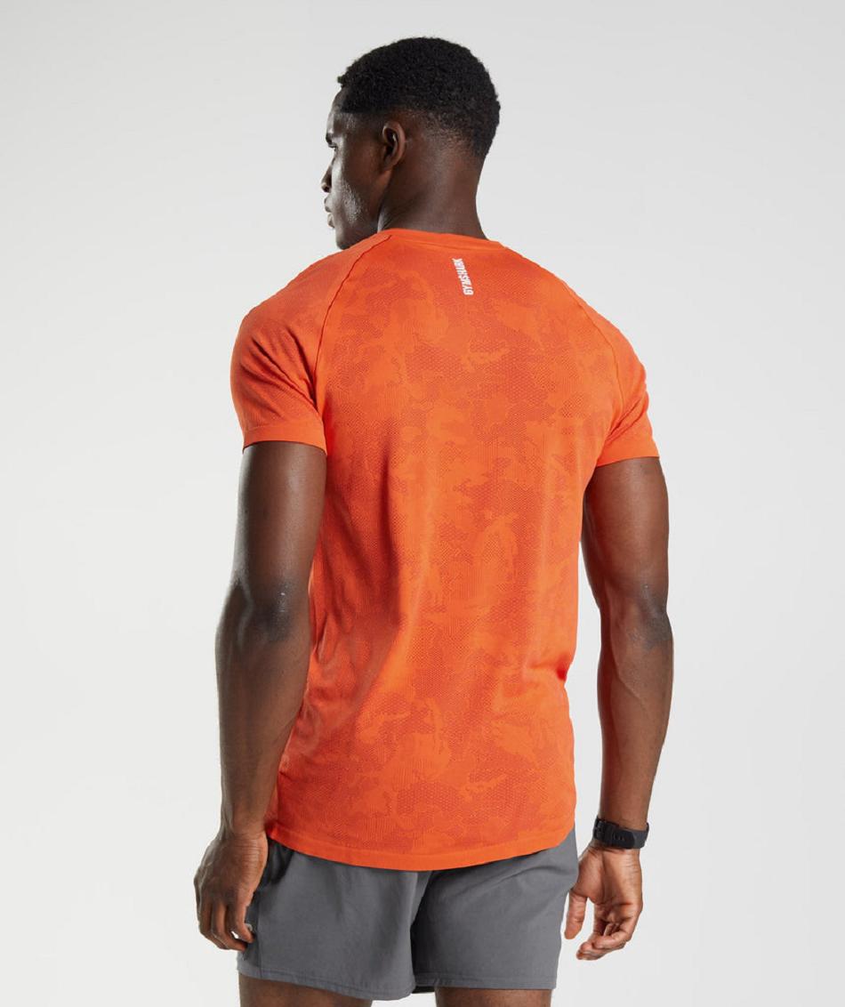 Gymshark Geo Seamless Muške T Shirts Crvene Crvene | HR 2489ILH